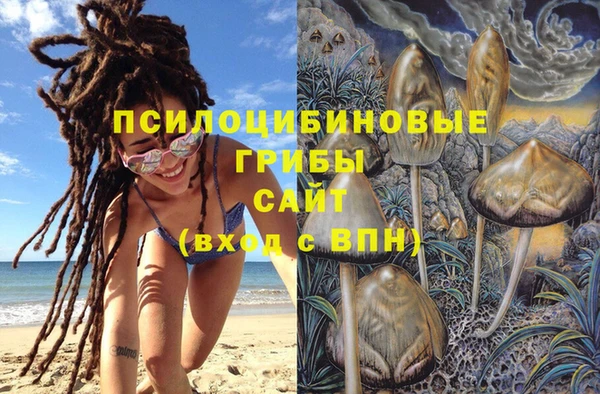 MDMA Premium VHQ Гусиноозёрск