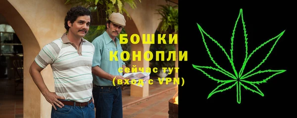 PSILOCYBIN Гусев