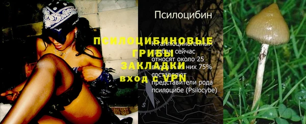 PSILOCYBIN Гусев