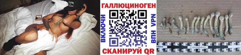 наркошоп  кракен   Псилоцибиновые грибы мухоморы  Жердевка 